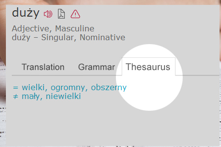 Polish language thesaurus